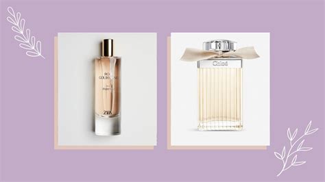 perfume similar to chloe roses|zara perfume chloe.